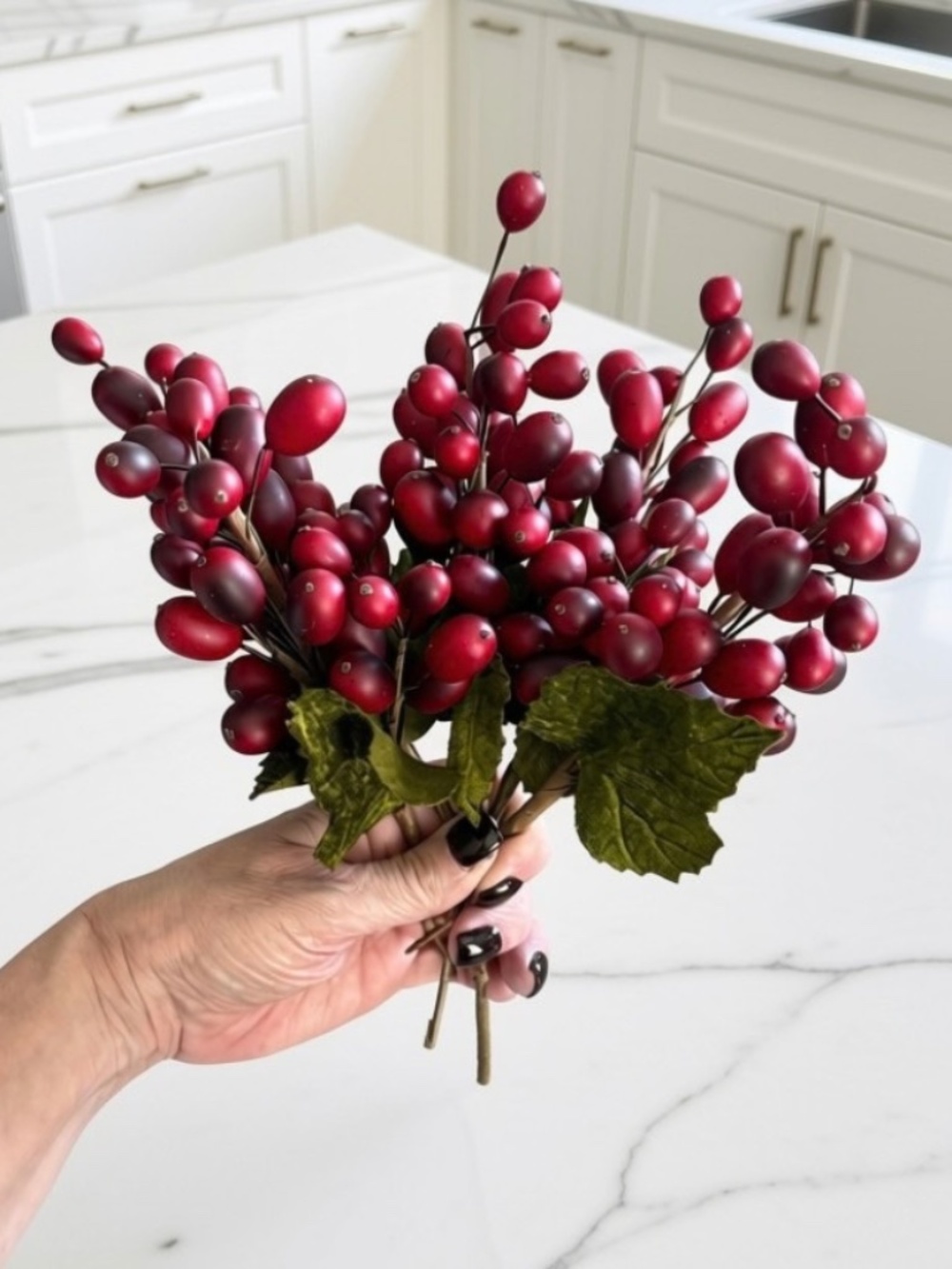 Set/5 Red Berry Christmas Picks